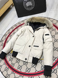 Canada Goose Chilliwack Bomber Down Jacket Cream White Fur Hood