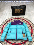 The North Face Nuptse 700 Down Jacket Turquoise Purple Colourblock